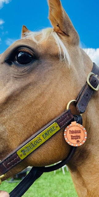 Customized Genuine Leather Equine Tap Emergency Tags